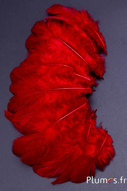 Poule - 5-9 cm - carmin